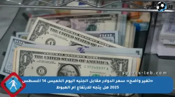 «تغير واضح» سعر الدولار مقابل الجنيه اليوم الخميس 14 أغسطس 2025 هل يتجه للارتفاع أم الهبوط